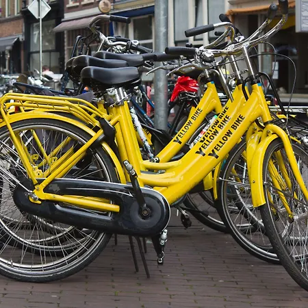 Quentin Golden Bear Hotell