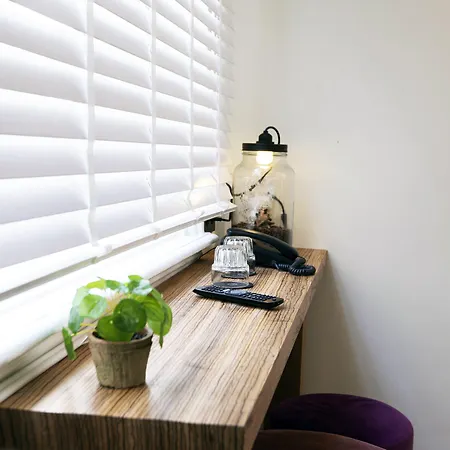 Quentin Golden Bear Amsterdam