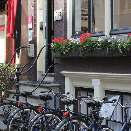 Quentin Golden Bear Hotell