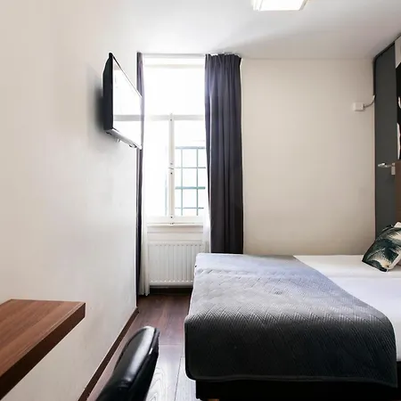 Quentin Golden Bear 2*