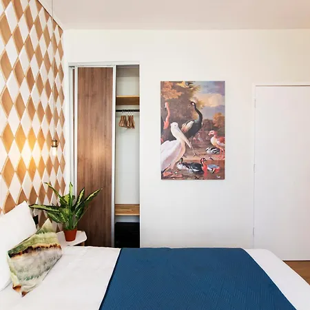 Quentin Golden Bear Άμστερνταμ