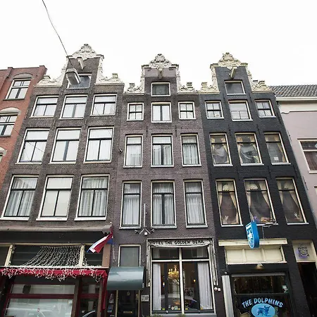 Quentin Golden Bear 2*