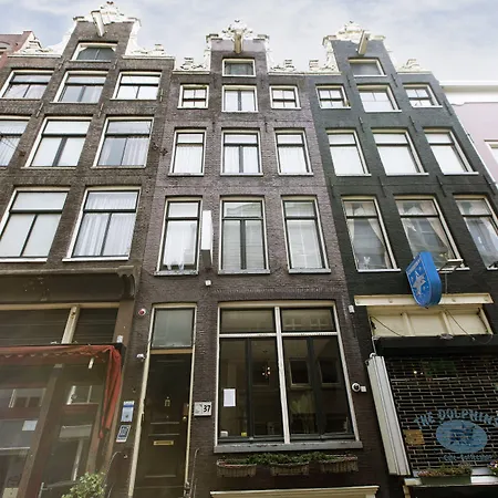 Quentin Golden Bear Άμστερνταμ