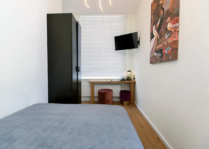 Quentin Leidse Square 2*