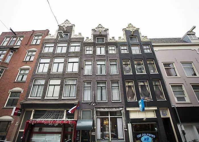 Quentin Leidse Square 2*